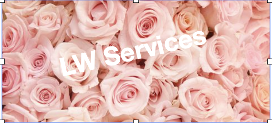 Writing coaching and other services offered by the CEO and founder of Sian Ministries<br />
ABN: 59 719 416 014